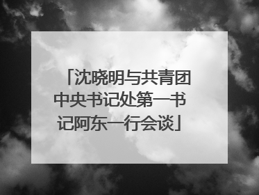 沈晓明与共青团中央书记处第一书记阿东一行会谈