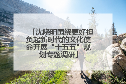 沈晓明围绕更好担负起新时代的文化使命开展“十五五”规划专题调研