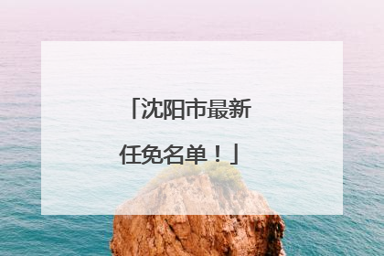 沈阳市最新任免名单！