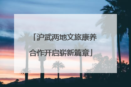 沪武两地文旅康养合作开启崭新篇章