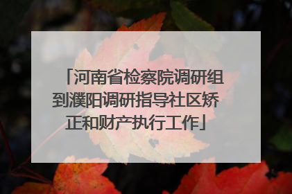 河南省检察院调研组到濮阳调研指导社区矫正和财产执行工作