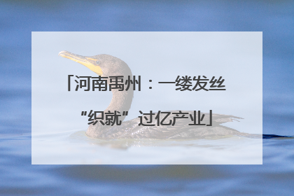 河南禹州：一缕发丝“织就”过亿产业