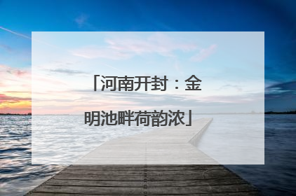 河南开封：金明池畔荷韵浓