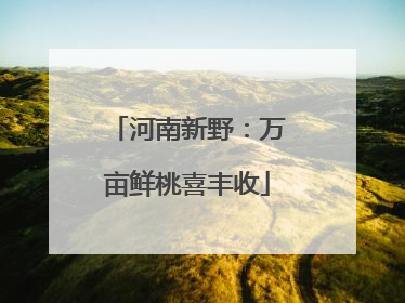 河南新野：万亩鲜桃喜丰收