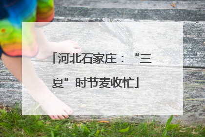 河北石家庄：“三夏”时节麦收忙