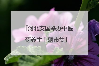 河北安国举办中医药养生主题市集