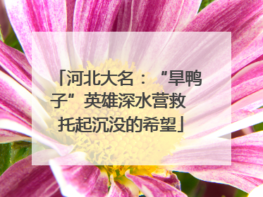 河北大名：“旱鸭子”英雄深水营救 托起沉没的希望