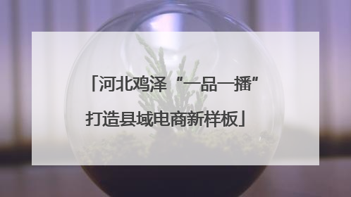 河北鸡泽“一品一播”打造县域电商新样板