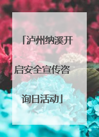 泸州纳溪开启安全宣传咨询日活动