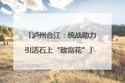 泸州合江：统战助力引活石上“致富花”