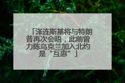 泽连斯基将与特朗普再次会晤，此前曾力陈乌克兰加入北约是“互惠”