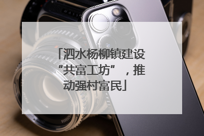 泗水杨柳镇建设“共富工坊”，推动强村富民