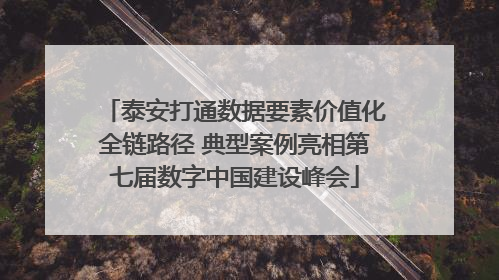 泰安打通数据要素价值化全链路径 典型案例亮相第七届数字中国建设峰会