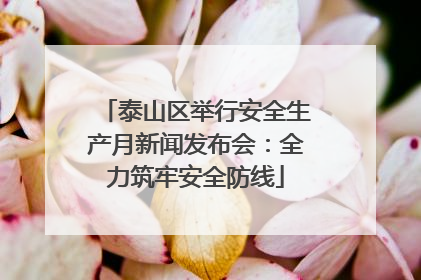 泰山区举行安全生产月新闻发布会：全力筑牢安全防线