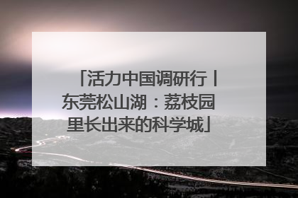 活力中国调研行丨东莞松山湖：荔枝园里长出来的科学城