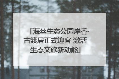 海丝生态公园岸香·古渡居正式迎客 激活生态文旅新动能