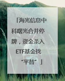 海光信息中科曙光合并停牌，资金杀入ETF基金找“平替”