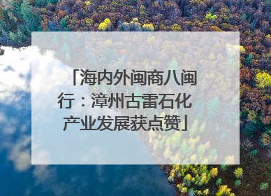 海内外闽商八闽行：漳州古雷石化产业发展获点赞