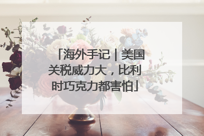 海外手记｜美国关税威力大，比利时巧克力都害怕