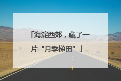 海淀西郊，藏了一片“月季梯田”