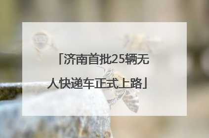 济南首批25辆无人快递车正式上路