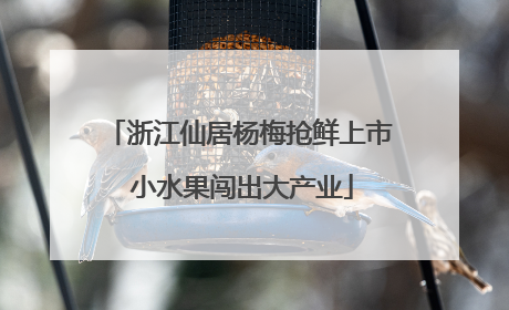 浙江仙居杨梅抢鲜上市 小水果闯出大产业
