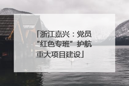 浙江嘉兴：党员“红色专班”护航重大项目建设