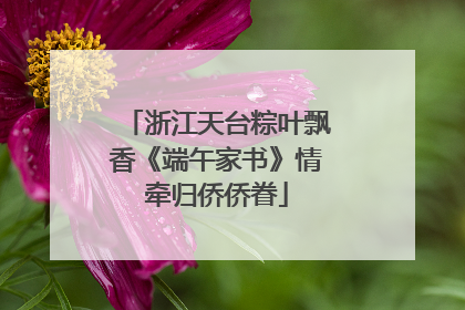 浙江天台粽叶飘香《端午家书》情牵归侨侨眷