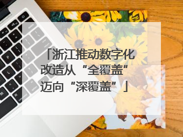 浙江推动数字化改造从“全覆盖”迈向“深覆盖”