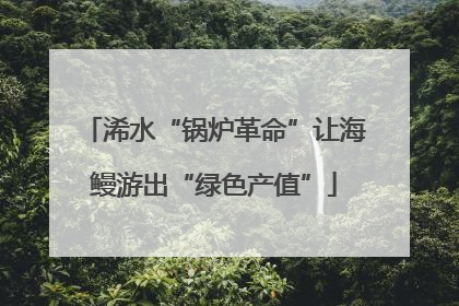 浠水“锅炉革命”让海鳗游出“绿色产值”
