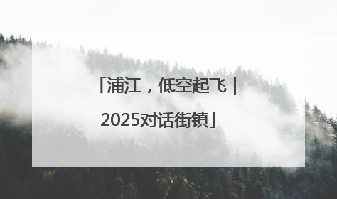 浦江，低空起飞｜2025对话街镇