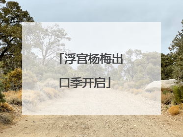 浮宫杨梅出口季开启
