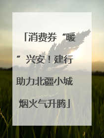 消费券“暖”兴安！建行助力北疆小城烟火气升腾