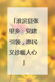 淮滨县张里乡：党建引领，惠民义诊暖人心