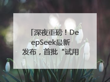 深夜重磅！DeepSeek最新发布，首批“试用体验”出炉→