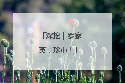 深挖｜罗家英，珍重！