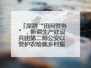 深耕“田间警务”，新疆生产建设兵团第二师公安以警护农绘就乡村振兴平安画卷