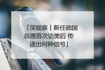 深观察丨新任德国总理首次访美后 传递出何种信号