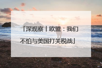 深观察丨欧盟：我们不怕与美国打关税战
