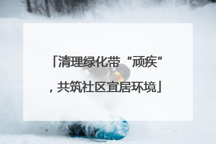 清理绿化带“顽疾”，共筑社区宜居环境