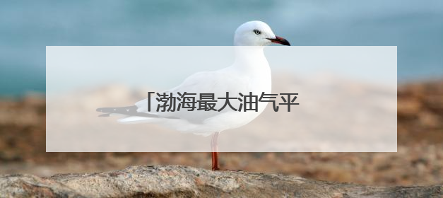 渤海最大油气平台完成浮托安装