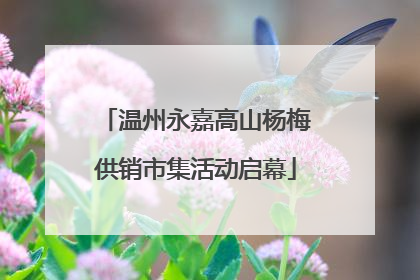 温州永嘉高山杨梅供销市集活动启幕