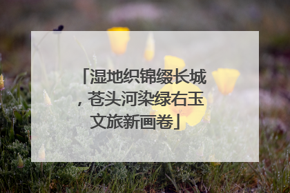 湿地织锦缀长城，苍头河染绿右玉文旅新画卷