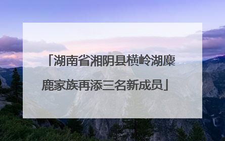 湖南省湘阴县横岭湖麋鹿家族再添三名新成员