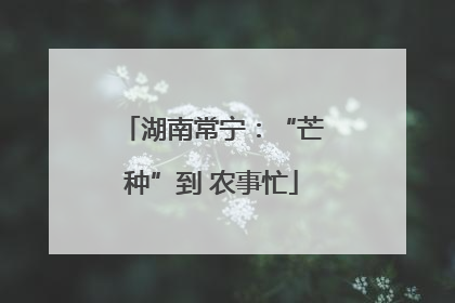 湖南常宁：“芒种”到 农事忙
