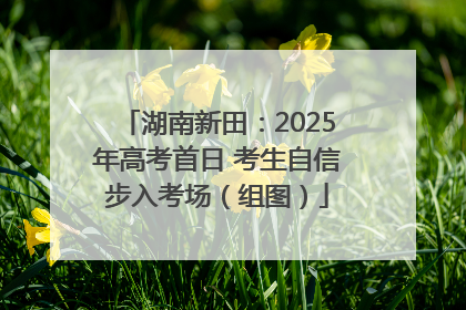 湖南新田：2025年高考首日 考生自信步入考场（组图）