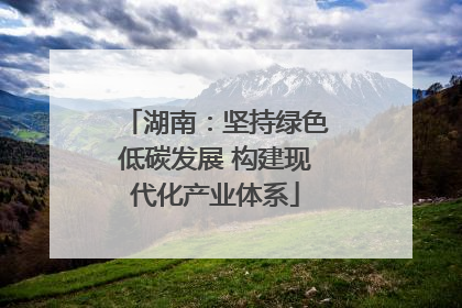 湖南：坚持绿色低碳发展 构建现代化产业体系