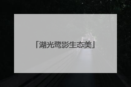 湖光鹭影生态美
