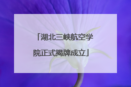 湖北三峡航空学院正式揭牌成立