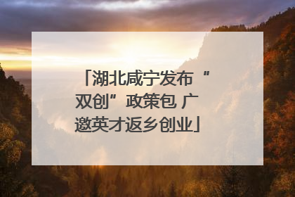 湖北咸宁发布“双创”政策包 广邀英才返乡创业